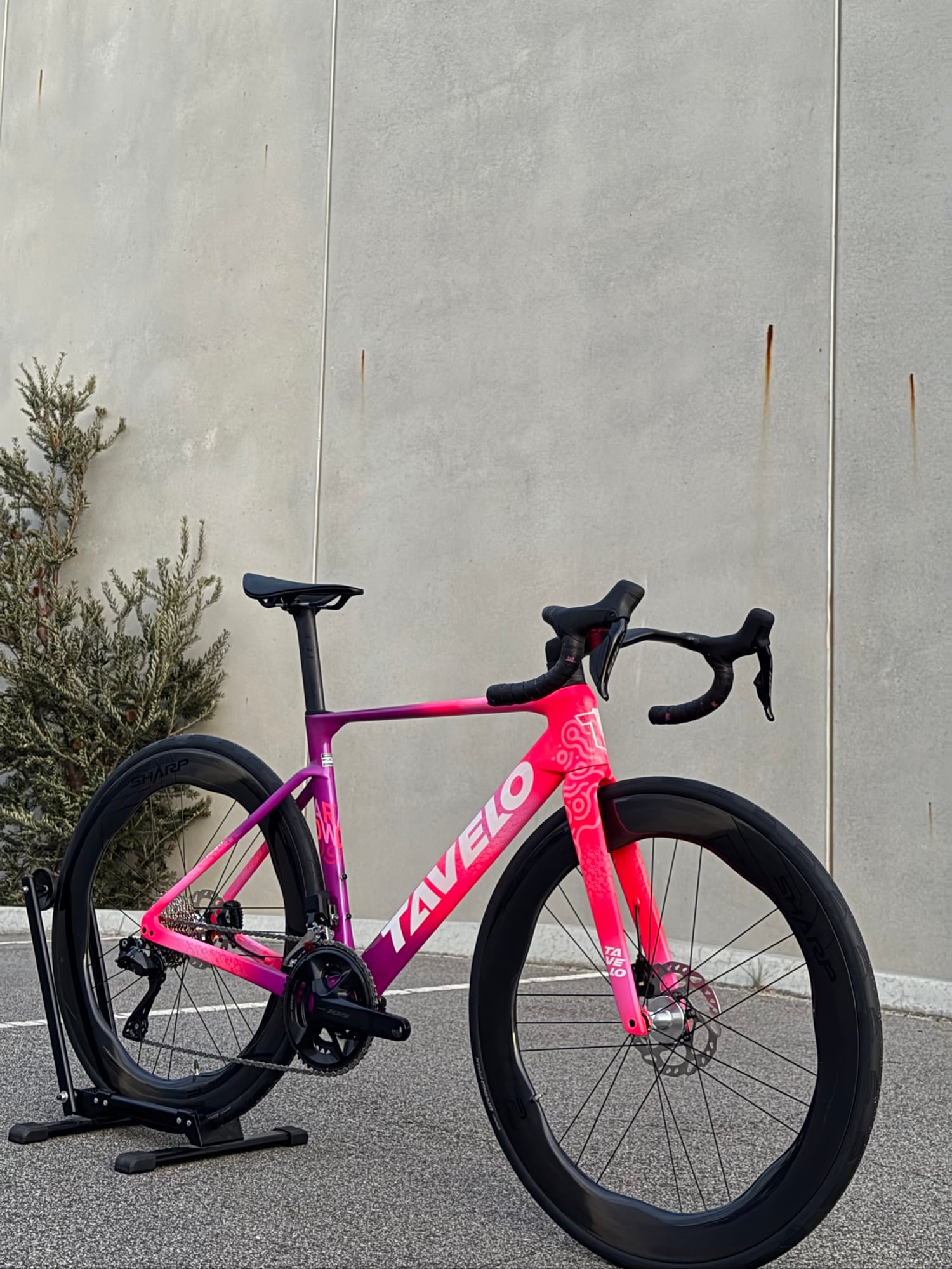 Tavelo Arow Race - Alpha Radiance