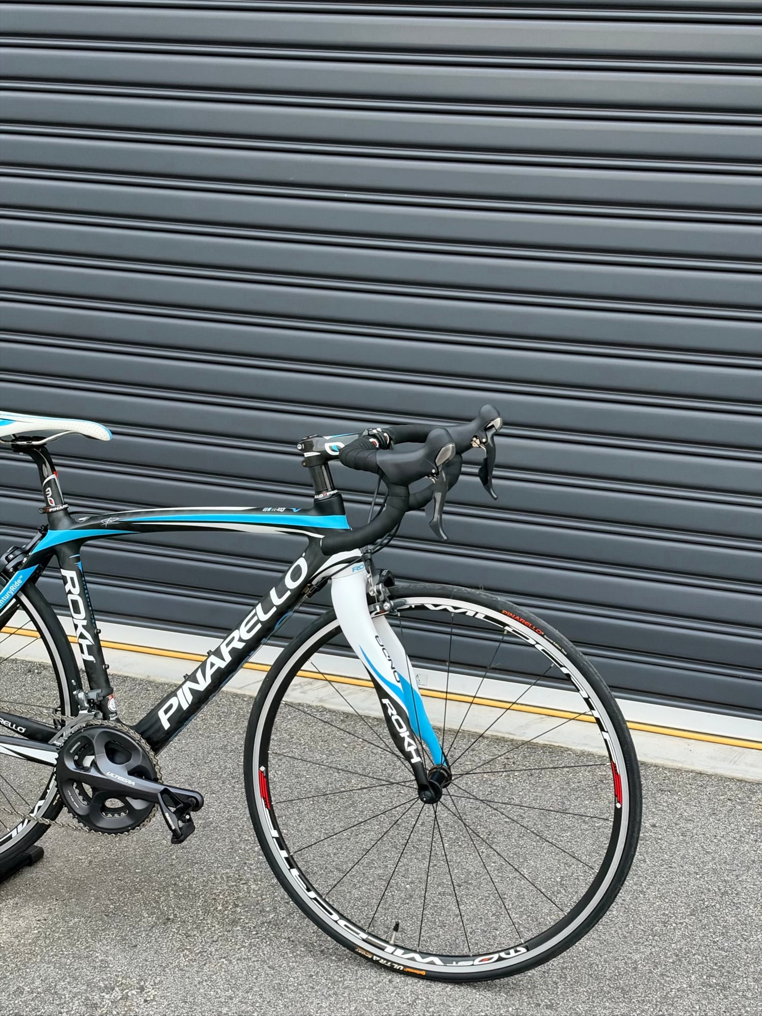 Pinarello Rokh